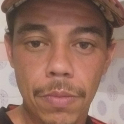 Anderson L